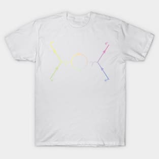 Second Order Feynman Diagram - Particle Physics T-Shirt